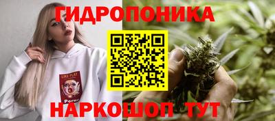 наркотики Абакан