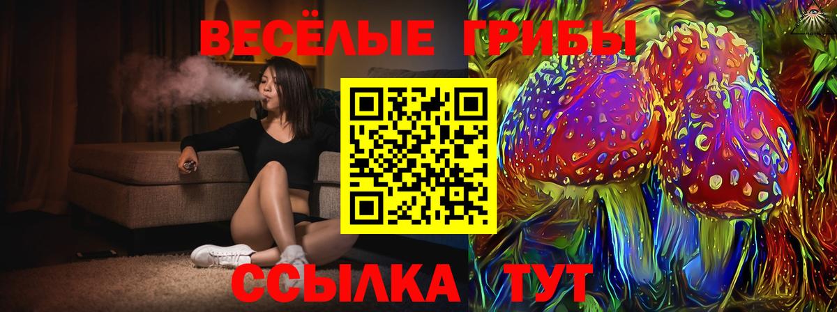 Псилоцибиновые грибы Magic Shrooms Химки